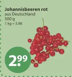 V Markt Johannisbeeren rot Angebot
