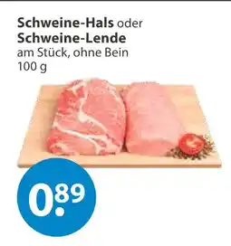 V Markt Schweine-hals Angebot
