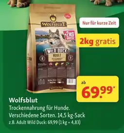 Fressnapf Wolfsblut trockennahrung für hunde Angebot