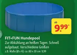 Fressnapf Fit+fun hundepool Angebot