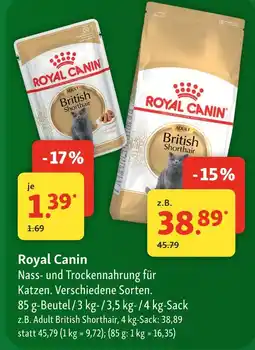 Fressnapf Royal canin adult british shorthair Angebot
