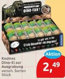 Budni Kosmos Dino-Ei zur Ausgrabung Angebot