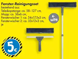 TEDi Fenster-Reinigungsset Angebot