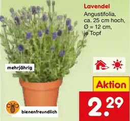 Netto Marken-Discount Lavendel Angebot