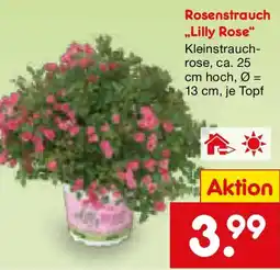 Netto Marken-Discount Rosenstrauch „Lilly Rose" Angebot
