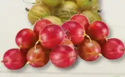 Edeka Frischemarkt Frische Stachelbeeren Angebot