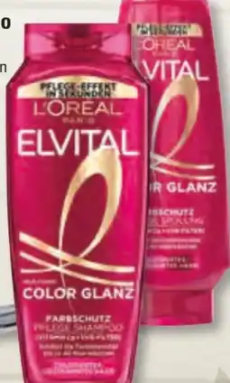 Edeka Frischemarkt L'Oréal Paris Elvital Shampoo Angebot