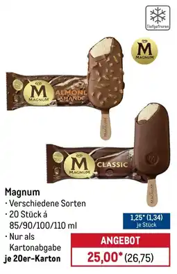 METRO Magnum Angebot