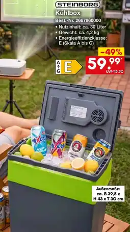 Netto Marken-Discount STEINBORG Kühlbox Angebot