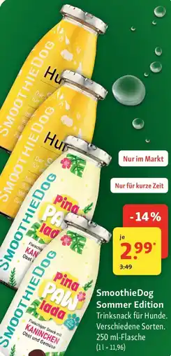 Fressnapf Smoothie Dog Sommer Edition Angebot
