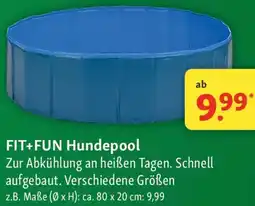 Fressnapf FIT+FUN Hundepool Angebot