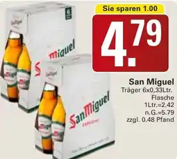 WEZ San Miguel Angebot