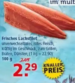 Multi Markt Frisches Lachsfilet Angebot