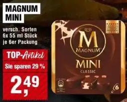 Handelshof Magnum mini Angebot
