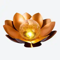 NKD Solar-Leuchte Lotus, Ø ca. 22-25 cm Angebot