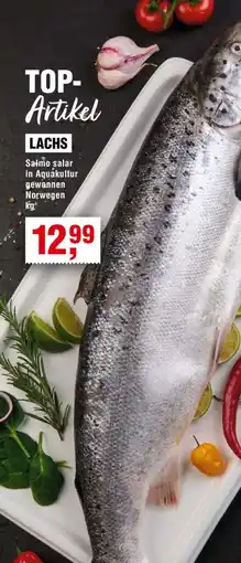 Handelshof Lachs Angebot