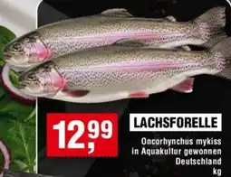 Handelshof Lachsforelle Angebot