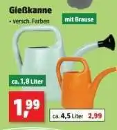 Thomas Philipps Gießkanne Angebot