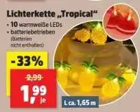 Thomas Philipps Lichterkette „Tropical“ Angebot