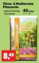 Thomas Philipps Zitrus- & Mediterrane Pflanzerde Angebot
