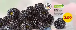 PENNY Deutsche Brombeeren Angebot