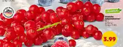 PENNY Deutsche Johannisbeeren Angebot