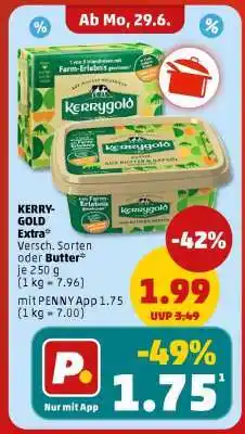 PENNY KERRYGOLD Extra Angebot