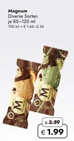 Travel Free Magnum eis Angebot