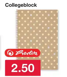 Woolworth Herlitz collegeblock Angebot