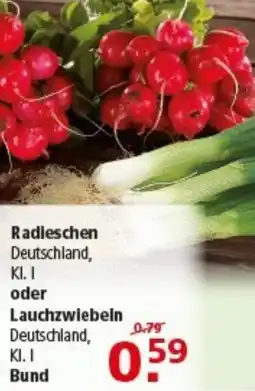 Multi Markt Radieschen oder Lauchzwiebeln Angebot