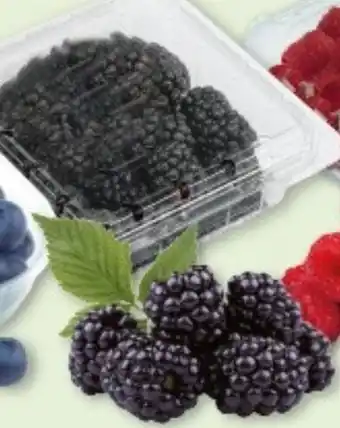 Multi Markt Brombeeren Angebot