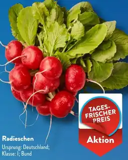 Aldi Süd Radieschen Angebot