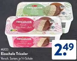 Aldi Süd MUCCI Eisschale Tricolor Angebot
