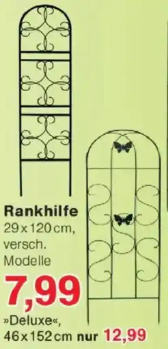 Jawoll Rankhilfe 29x120cm Angebot