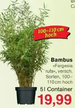 Jawoll Bambus Angebot