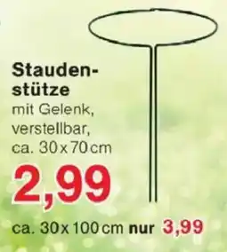 Jawoll Staudenstütze Angebot