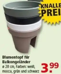 Multi Markt Blumentopf für Balkongeländer Angebot