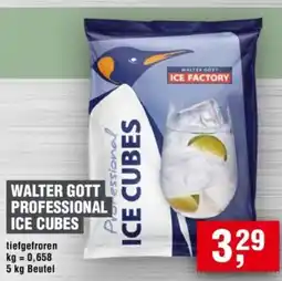 Handelshof WALTER GOTT PROFESSIONAL ICE CUBES Angebot