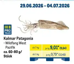 METRO Kalmar Patagonia Angebot