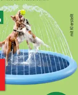 Thomas Philipps Heimtier-Sprinklermatte Angebot