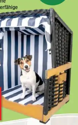 Thomas Philipps Hunde Tierstrandkorb Angebot