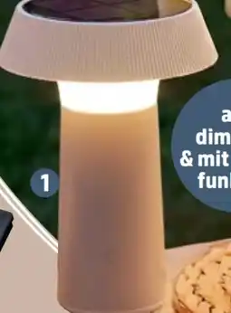 Thomas Philipps LED Solar Tischleuchte Angebot