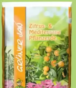 Thomas Philipps Grüner Jan Zitrus- und Mediterrane Pflanzerde Angebot
