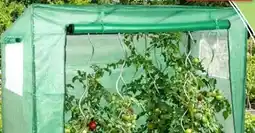Thomas Philipps Tomatengewächshaus Angebot