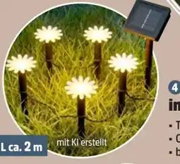 Thomas Philipps Solar-Lichterkette Gänseblümchen Angebot
