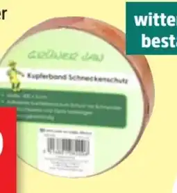 Thomas Philipps Grüner Jan Kupferband Angebot