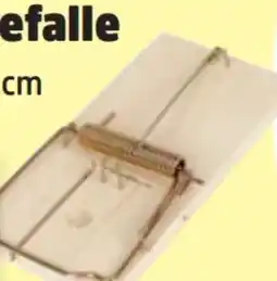 Thomas Philipps XL-Mausefalle Angebot
