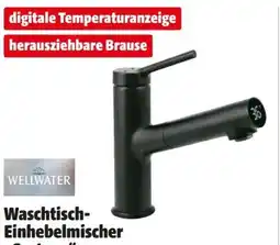 Hagebau Wellwater Waschtisch-Einhebelmischer Crotone Angebot
