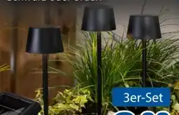 Rossmann Rossmann Ideenwelt Solar-Gartenstecker Angebot