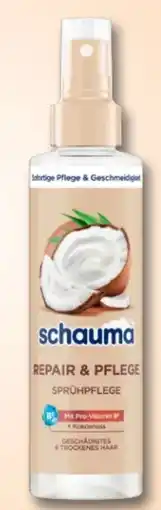 Rossmann Schwarzkopf Schauma Sprühspülung Angebot